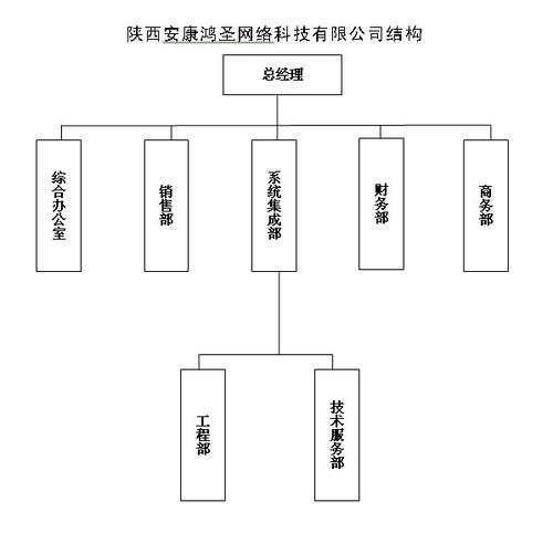 陕西安康鸿圣网络科技